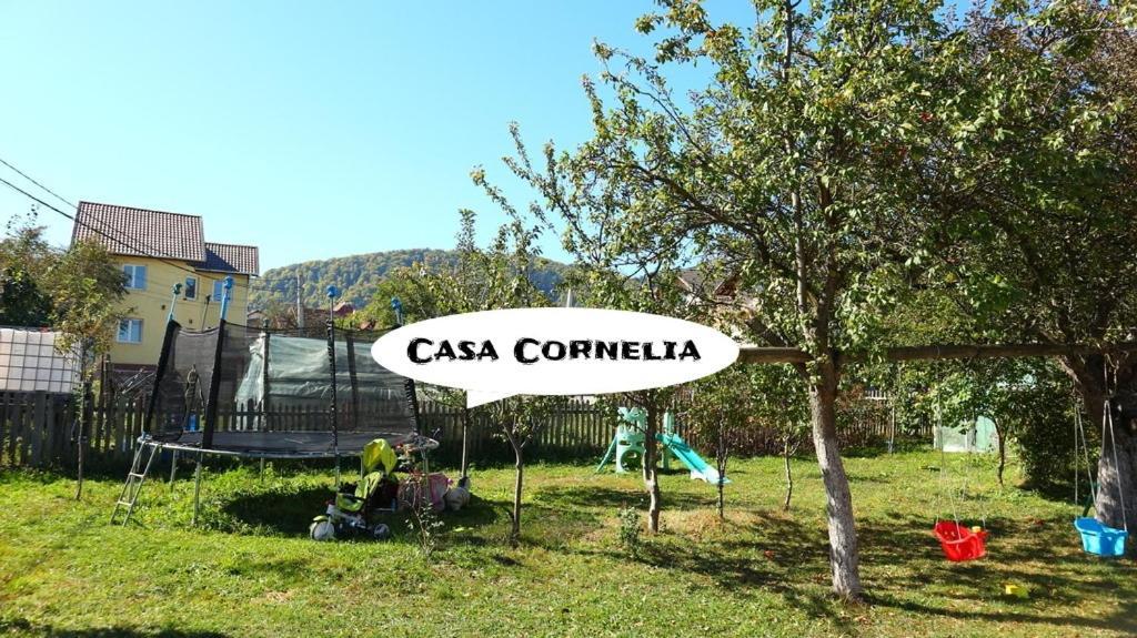 Hotel Casa Cornelia Bran  Zewnętrze zdjęcie