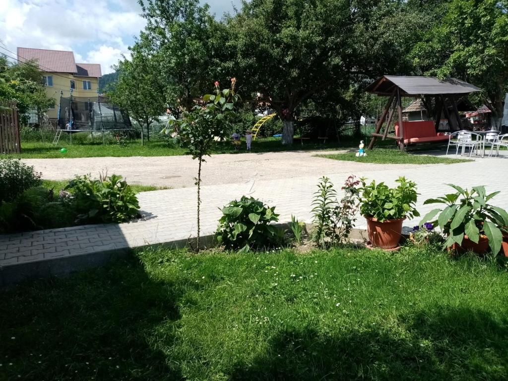Hotel Casa Cornelia Bran  Zewnętrze zdjęcie