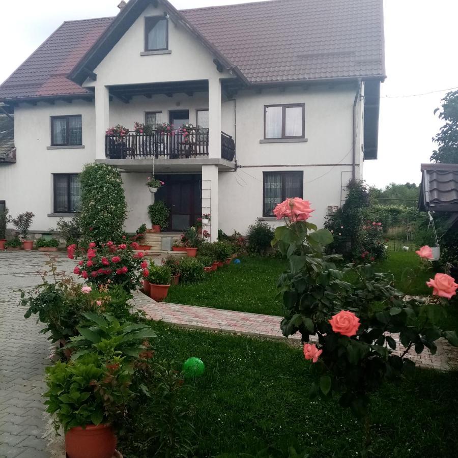 Hotel Casa Cornelia Bran  Zewnętrze zdjęcie