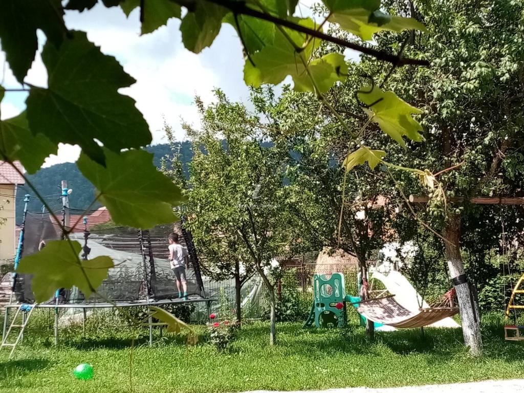 Hotel Casa Cornelia Bran  Zewnętrze zdjęcie