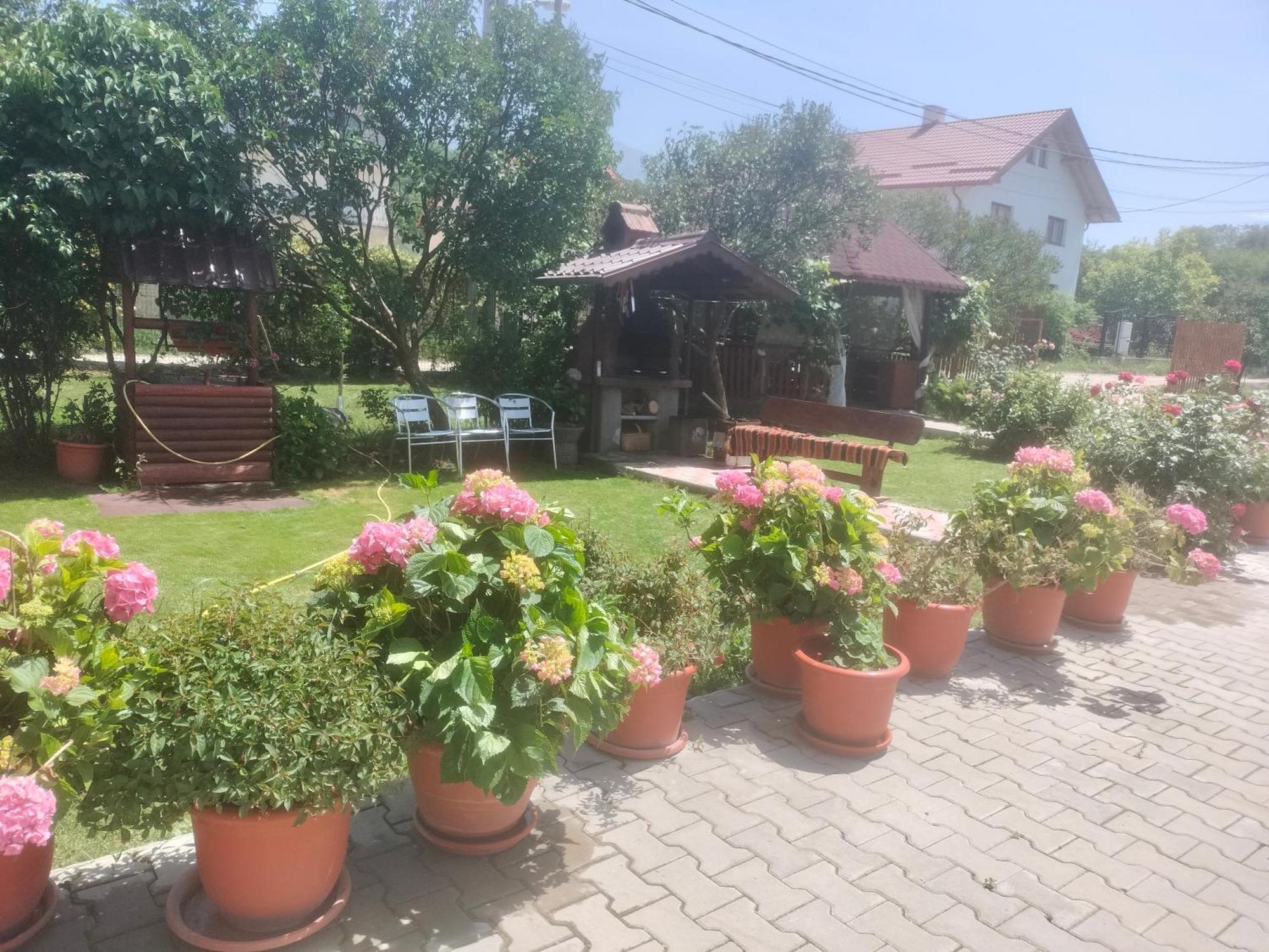 Hotel Casa Cornelia Bran  Zewnętrze zdjęcie
