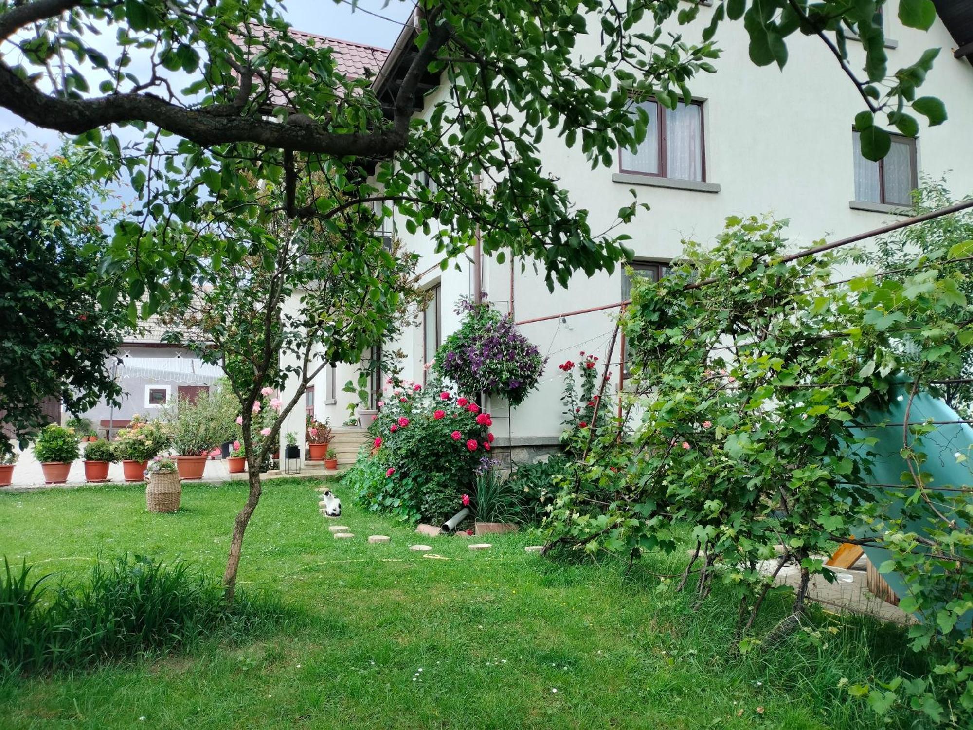Hotel Casa Cornelia Bran  Zewnętrze zdjęcie